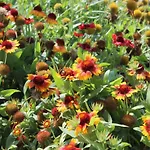 Valencia Gardens Luxury Апартаменты