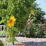Апартаменты Valencia Gardens Luxury