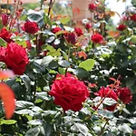 Valencia Gardens Luxury