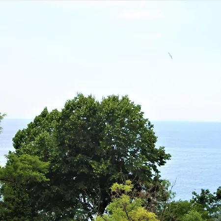 Apartment Valencia Gardens Luxury Nesebar