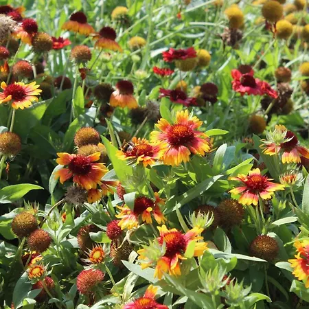 Valencia Gardens Luxury Διαμέρισμα