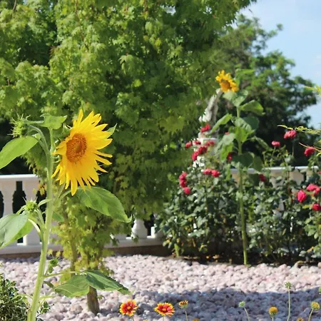 Daire Valencia Gardens Luxury