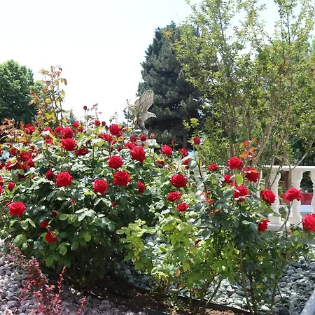 Valencia Gardens Luxury Νεσέμπαρ