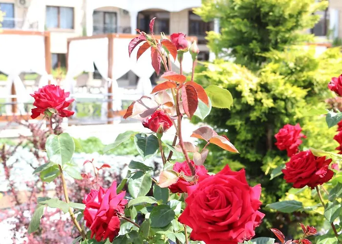 아파트 Valencia Gardens Luxury